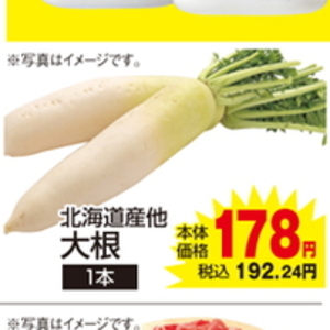 だいこん