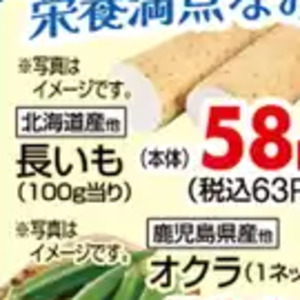 ながいも
