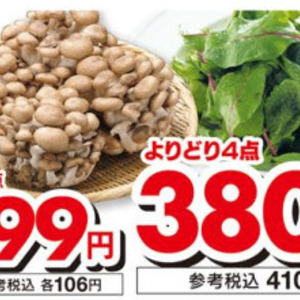 その他きのこ類