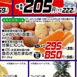 たまねぎ