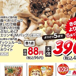 エリンギ