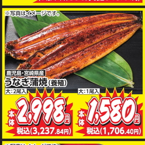 うなぎの蒲焼き