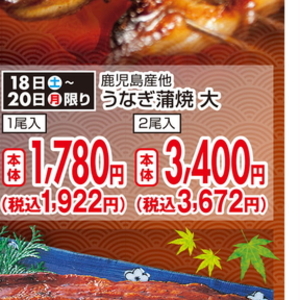 うなぎの蒲焼き