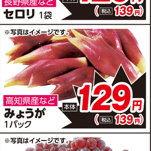 みょうが