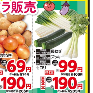 ながねぎ