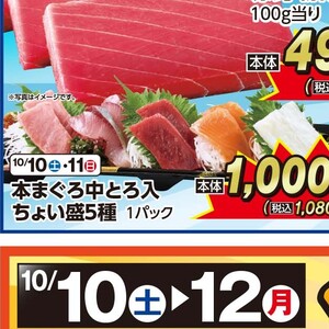 まぐろ中とろ