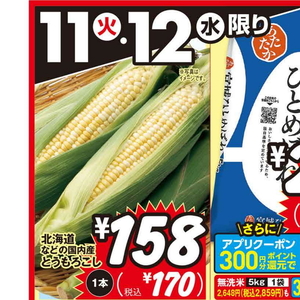 とうもろこし