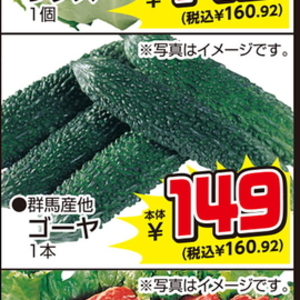 ゴーヤ