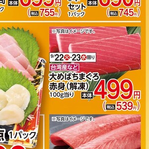 まぐろ赤身