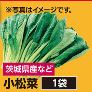 こまつ菜