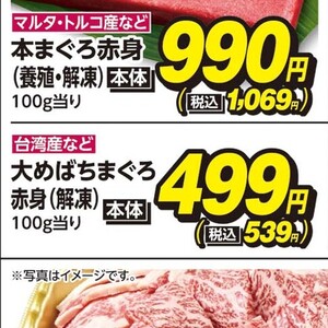 まぐろ赤身