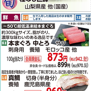 まぐろ中とろ