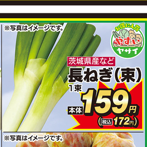 ながねぎ