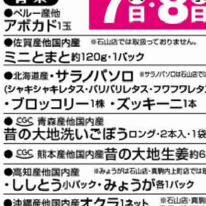 ブロッコリー