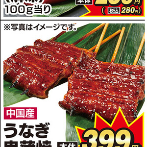 うなぎの蒲焼き