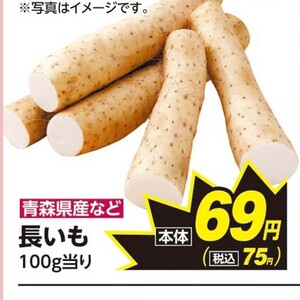 ながいも