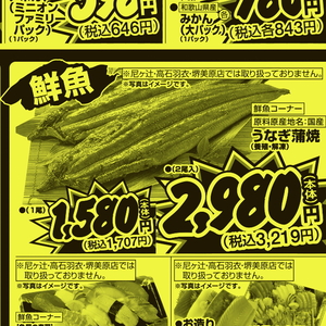 うなぎの蒲焼き