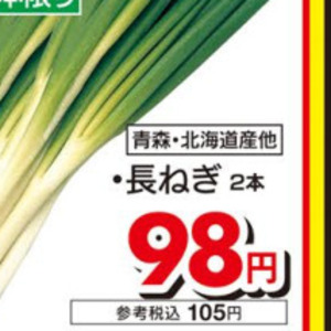 ながねぎ