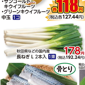 ながねぎ