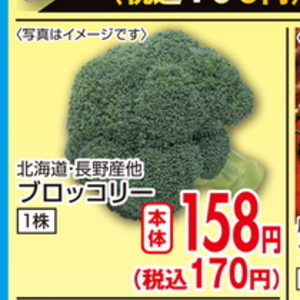 ブロッコリー