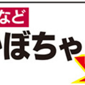 かぼちゃ