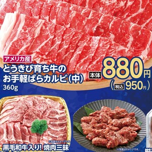 牛カルビ