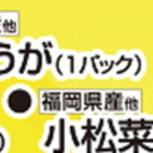 こまつ菜