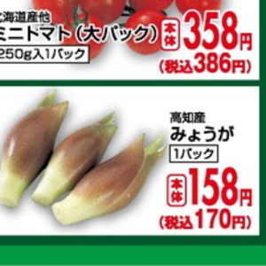 みょうが
