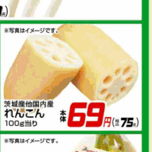 レンコン