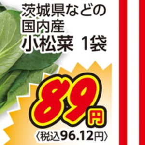 こまつ菜