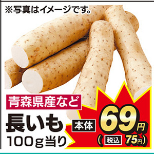 ながいも