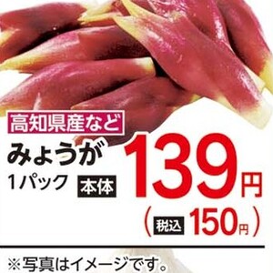 みょうが