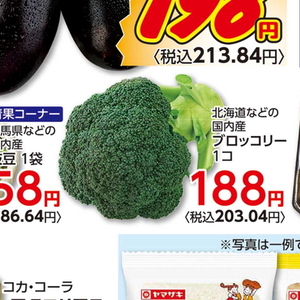 ブロッコリー