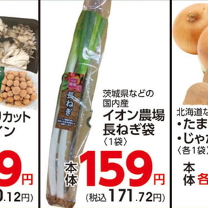ながねぎ