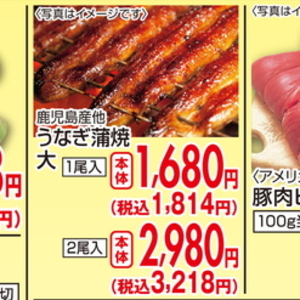 うなぎの蒲焼き