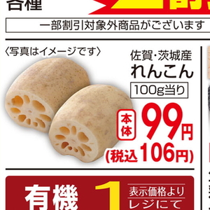 レンコン
