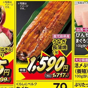 うなぎの蒲焼き