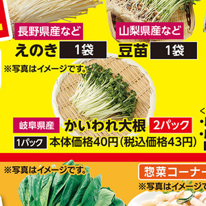 カイワレ大根