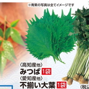 三つ葉