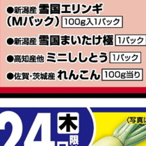 レンコン
