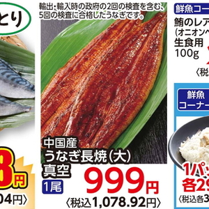 うなぎの蒲焼き