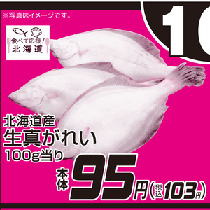 その他魚介切り身