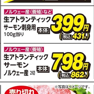 サーモン（刺身）