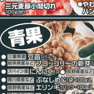 豆苗