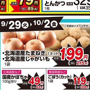 たまねぎ