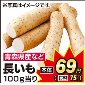 ながいも