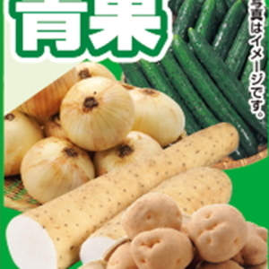 たまねぎ