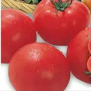 トマト