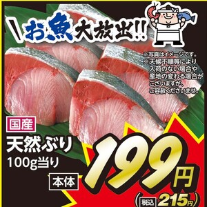 ぶり（切り身）