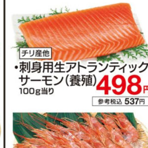 サーモン（刺身）